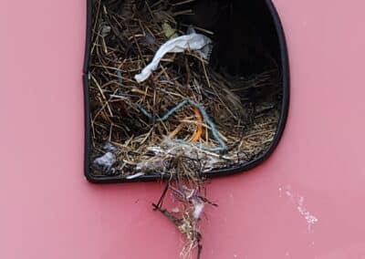 Sign with Birds Nest